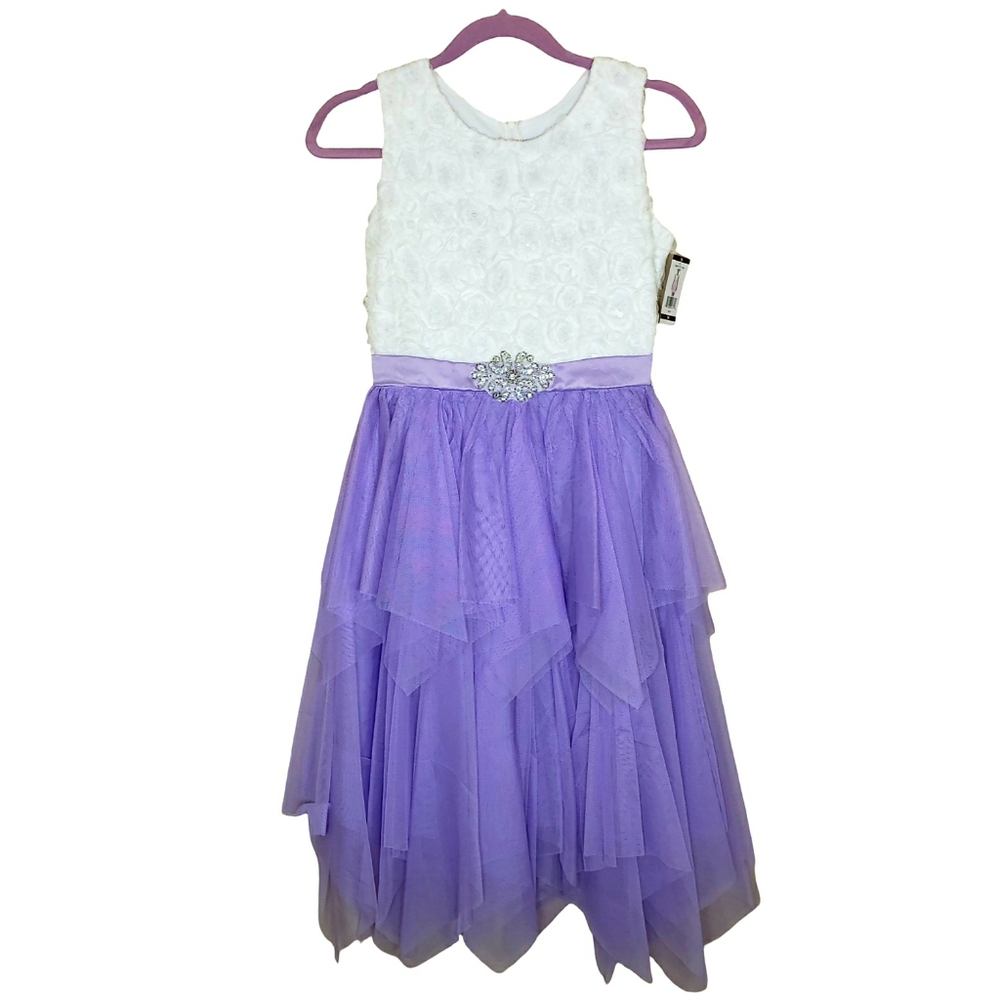NWT Emily Rose Girls Dress